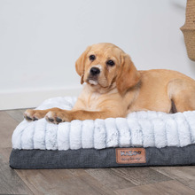 Cloud Comfort Pet Bed